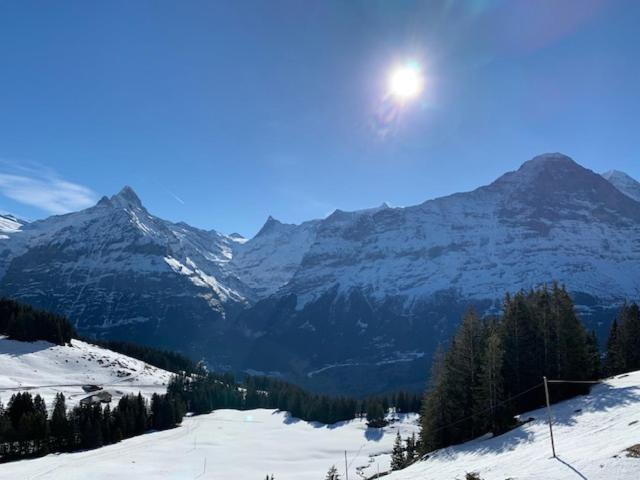 Ferienwohnung Grindelwald-Sunneblick Exterior foto